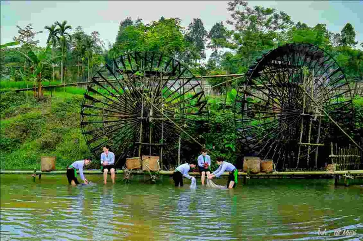 Cẩm Nang Du Lịch Phú Thọ : Top 12 Địa Điểm Không Nên Bỏ Qua