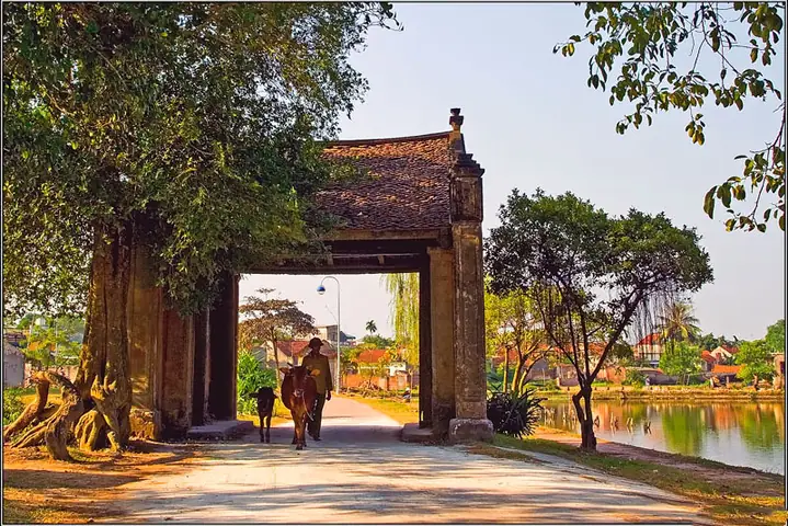 Về Làng Cổ Đường Lâm Để Cảm Nhận Nét Đẹp Thôn Quê Quyến Rũ