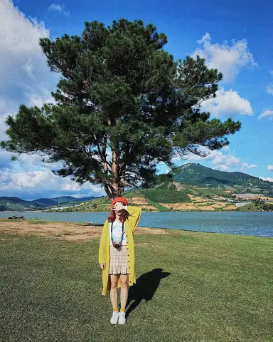 Cây Cô Đơn Làng Hà Cảng
