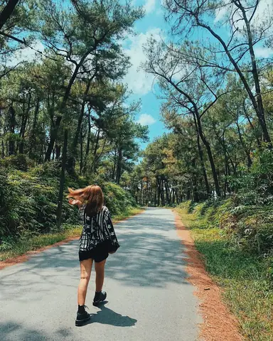 Đồi Thiên An – Cảnh Đẹp Ở Huế Lý Tưởng