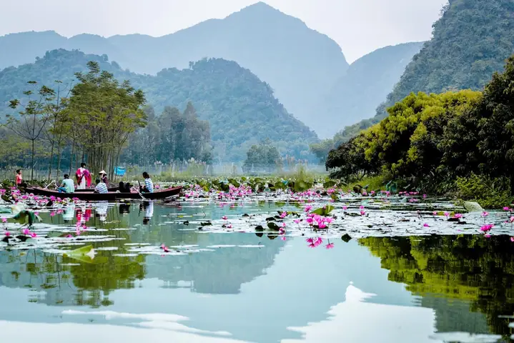 Cảnh Đẹp Quê Hương Đất Nước Việt Nam, Có Những Địa Điểm Nào?