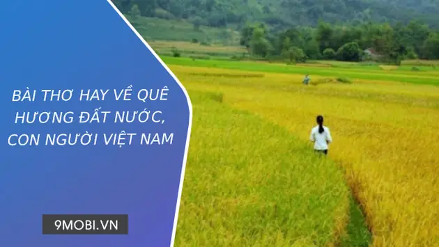 Cảnh Đẹp Quê Hương Đất Nước Việt Nam, Có Những Địa Điểm Nào?