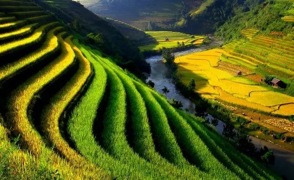 Cảnh Đẹp Quê Hương Đất Nước Việt Nam, Có Những Địa Điểm Nào?