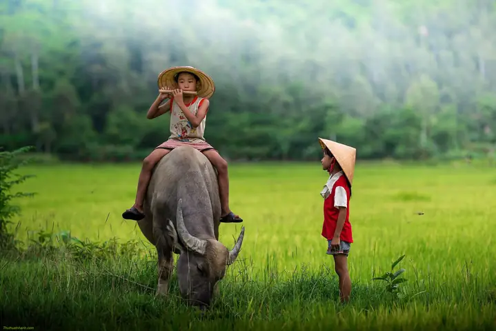 Cảnh Đẹp Quê Hương Đất Nước Việt Nam, Có Những Địa Điểm Nào?
