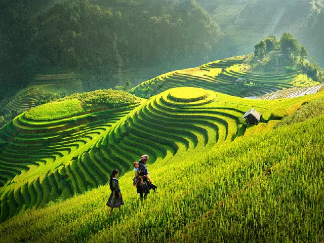 Cảnh Đẹp Quê Hương Đất Nước Việt Nam, Có Những Địa Điểm Nào?