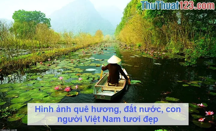 Cảnh Đẹp Quê Hương Đất Nước Việt Nam, Có Những Địa Điểm Nào?