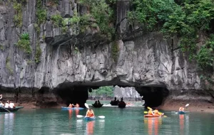 Cat Ba Tours | High-quality Tours By Cat Ba Express ❤️