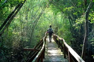 Explore Nam Cat Tien National Park