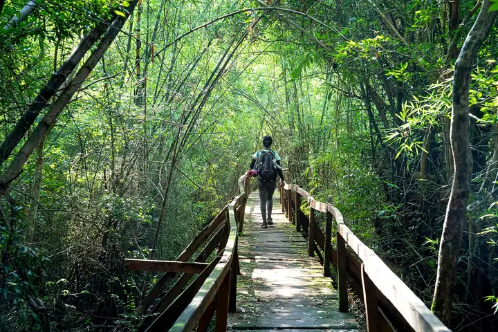 Explore Nam Cat Tien National Park