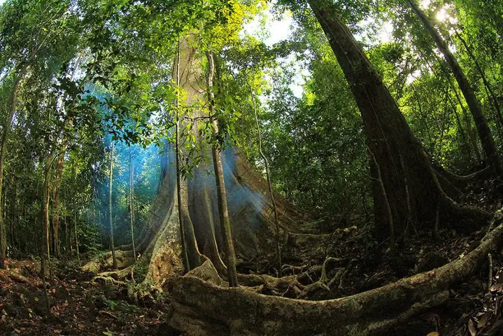 Explore Nam Cat Tien National Park Explore Nam Cat Tien National Park
