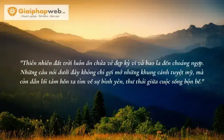 Sống Giữa Đời Vô Thường: Học Cách Buông Bỏ Và Trân Trọng Hiện Tại