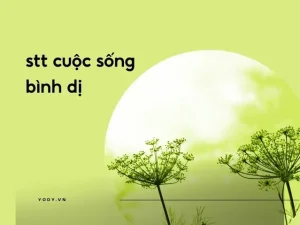 1000 Stt Cuộc Sống Bình Dị, An Nhiên Thổi Mát Tâm Hồn | Yody