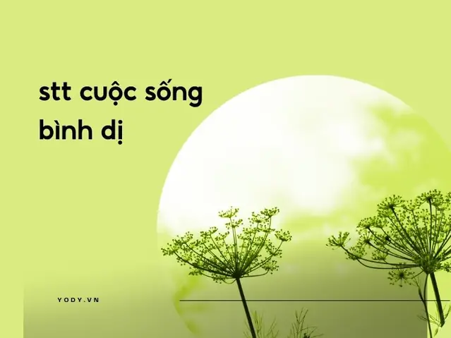 1000 Stt Cuộc Sống Bình Dị, An Nhiên Thổi Mát Tâm Hồn | Yody