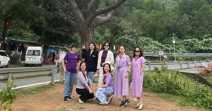 Giới Trẻ Tiếc Ngẩn Ngơ Khi Cây Thông Cô Đơn Trên Đèo Hải Vân Chết ...