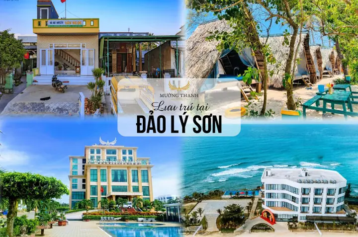 Chi Phí Lưu Trú Tại Đảo Lý Sơn