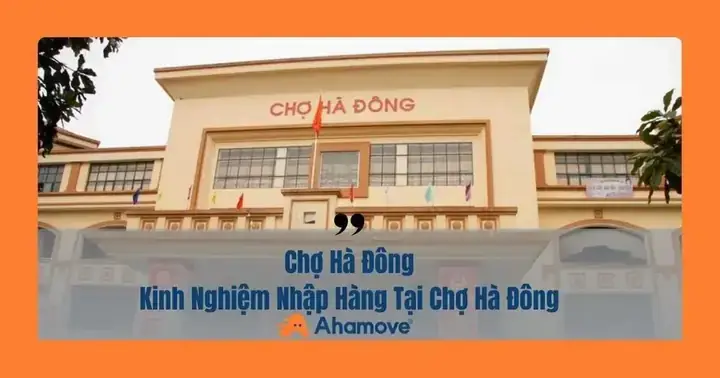 Địa Chỉ Chợ Chó Mèo Hà Đông: Thông Tin Chi Tiết & Kinh Nghiệm ...