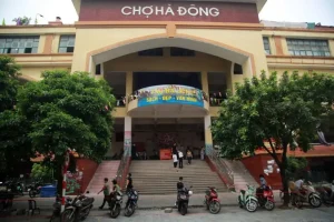 Chợ Đầu Mối Hà Đông