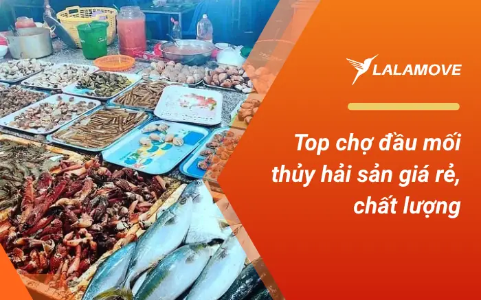 Top 8 Chợ Đầu Mối Thủy, Hải Sản Giá Rẻ Top 8 Chợ Đầu Mối Thủy, Hải Sản Giá Rẻ