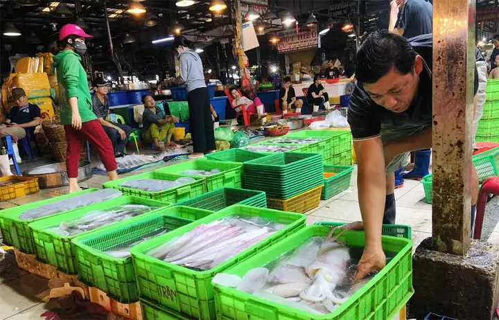 Chợ Đầu Mối Hải Sản Tại Tphcm