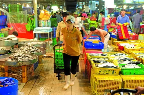 Những Đầu Mối Thường Được Dân Nghề Nhắc Tới