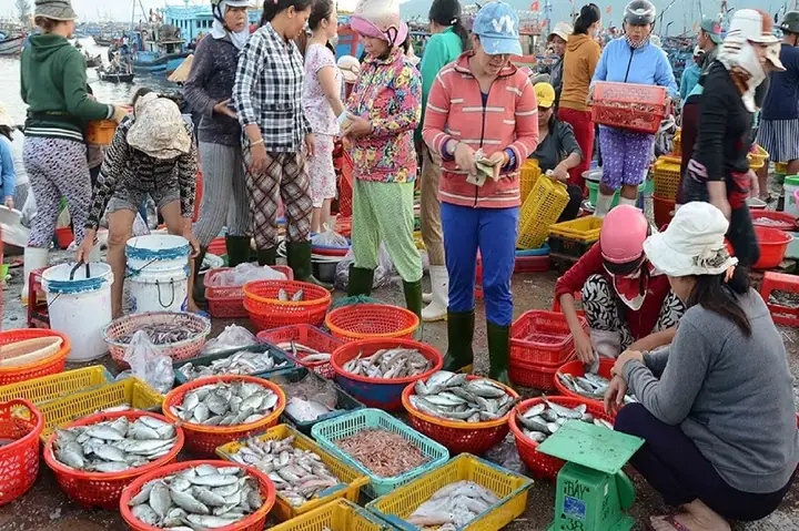Top 10 Khu Chợ Hải Sản Đà Nẵng Giá Rẻ Đủ Loại Cho Bạn Chọn