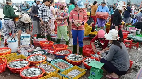 Chợ Hải Sản Đà Nẵng: Top 12 Khu Chợ Rẻ, Tươi, Chất Lượng Chợ Hải Sản Đà Nẵng: Top 12 Khu Chợ Rẻ, Tươi, Chất Lượng