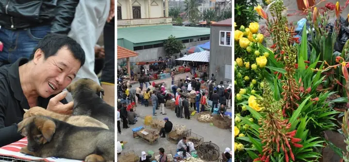 Chợ Hàng Độc Đáo Mỗi Tuần Chỉ Họp Một Lần Tại Hải Phòng