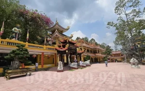 Quá Trình Phát Triển
