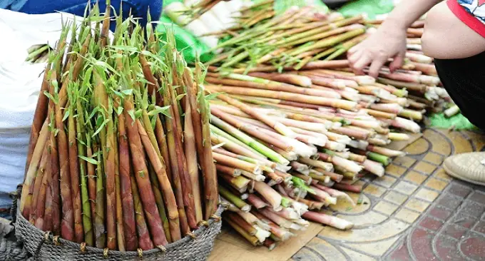 Lưu Ý Cho Du Khách Khi Hành Hương Đến Yên Tử