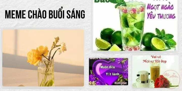 100+ Meme Chào Buổi Sáng – Good Morning Chúc Ngày Mới Tốt Lành 100+ Meme Chào Buổi Sáng – Good Morning Chúc Ngày Mới Tốt Lành