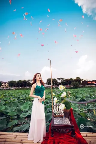 Bãi Đá Sông Hồng