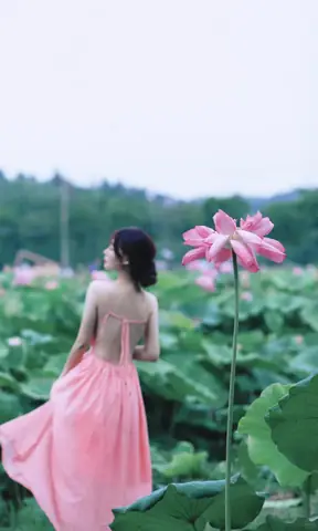 Váy Dài Hở Lưng