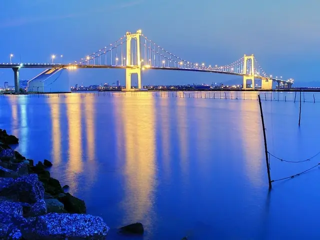 Da Nang Co Bao Nhieu Cay Cau Bac Qua Song Han Da Nang Co Bao Nhieu Cay Cau Bac Qua Song Han
