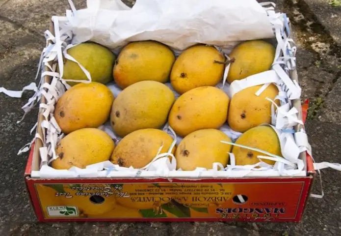Với Trái Cây, Hoa Quả, Hoa Tươi