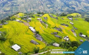 Giá Rẻ, Nhiều Ưu Đãi - Cơ Hội Không Thể Bỏ Lỡ!