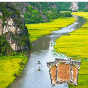 Cơm Cháy Đặc Sản Ở Đâu ? So Sánh Cơm Cháy Sài Gòn Và Cơm Cháy Ninh Bình