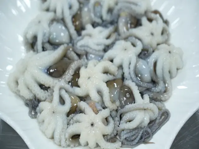 Con Ruốc Là Con Gì Mà Dân Quảng Ninh Làm Chua Cay Chứ Không Đem Muối Mắm Như Con Ruốc Ở Miền Trung? - Ảnh 4.