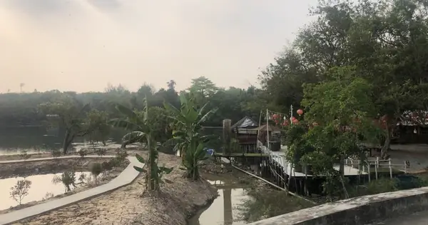Nhếch Nhác Công Viên Văn Hóa An Hòa Nhếch Nhác Công Viên Văn Hóa An Hòa