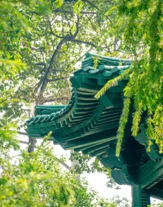 Công Viên Hòa Bình Quận 5