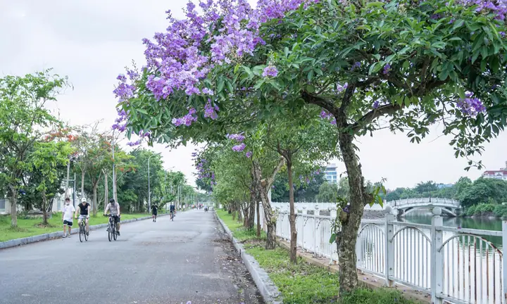 Công Viên Hoàng Hoa Thám Hà Nội Công Viên Hoàng Hoa Thám Hà Nội