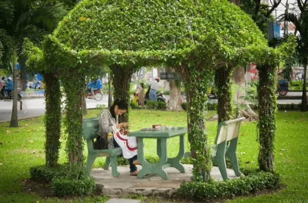 Điểm Khác Biệt Của Công Viên Hoàng Văn Thụ Hồ Chí Minh