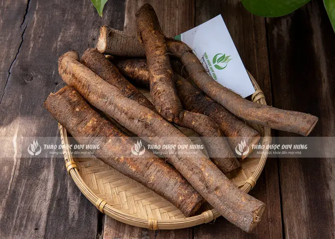 Củ Gai Tươi Mua Ở Đâu Tốt? Địa Chỉ Bán Uy Tín Tại Hà Nội, Hải ...