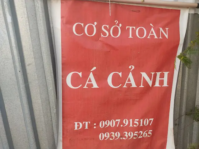 Cửa Hàng Cá Cảnh Toàn
