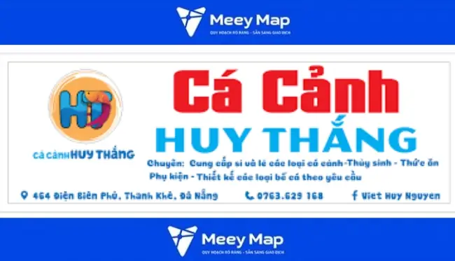 Cá Cảnh Huy Thắng Cá Cảnh Huy Thắng