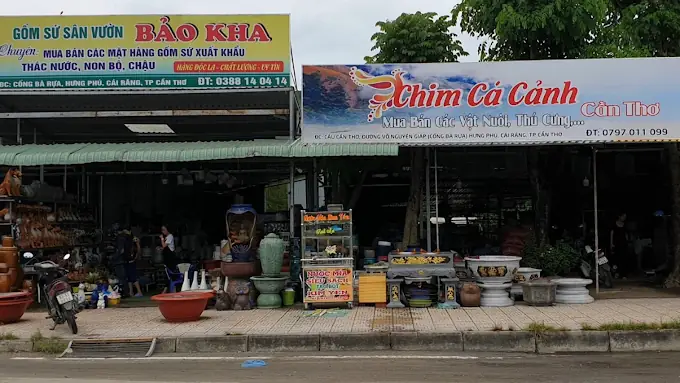 Cửa Hàng Chim Cá Cảnh Cần Thơ Cửa Hàng Chim Cá Cảnh Cần Thơ