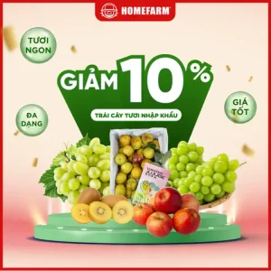 Giảm Giá 10% Toàn Bộ Sản Phẩm Có Tại Cửa Hàng