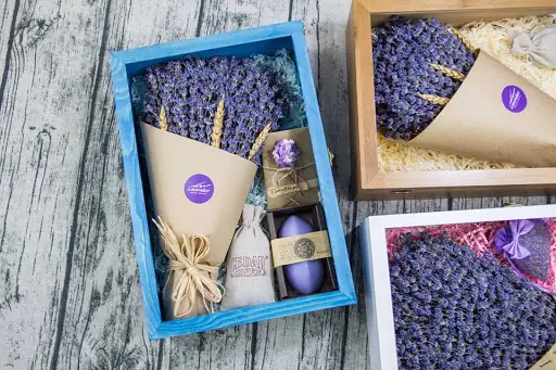 Lavender Trung Quân Lavender Trung Quân