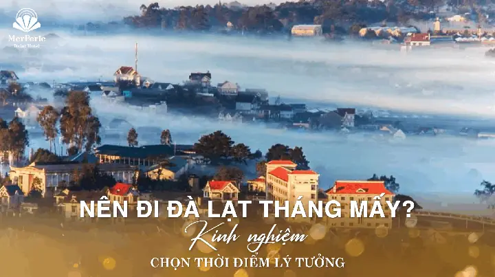 Nên Đi Đà Lạt Tháng Mấy? Kinh Nghiệm Chọn Thời Điểm Lý Tưởng
