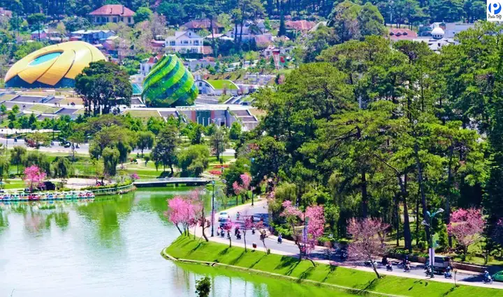 Đà Lạt Thành Phố Sương Mù Đà Lạt Thành Phố Sương Mù