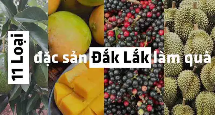 11 Loại Đặc Sản Đắk Lắk Làm Quà Độc Đáo Nhất Tại Tây Nguyên